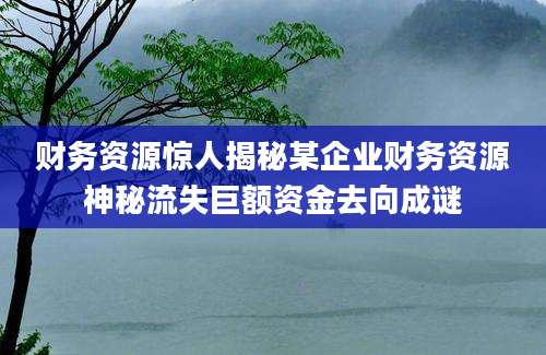 财务资源惊人揭秘某企业财务资源神秘流失巨额资金去向成谜