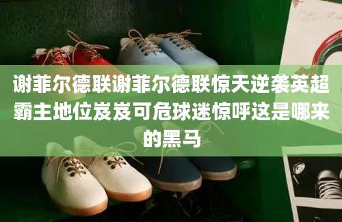 谢菲尔德联谢菲尔德联惊天逆袭英超霸主地位岌岌可危球迷惊呼这是哪来的黑马