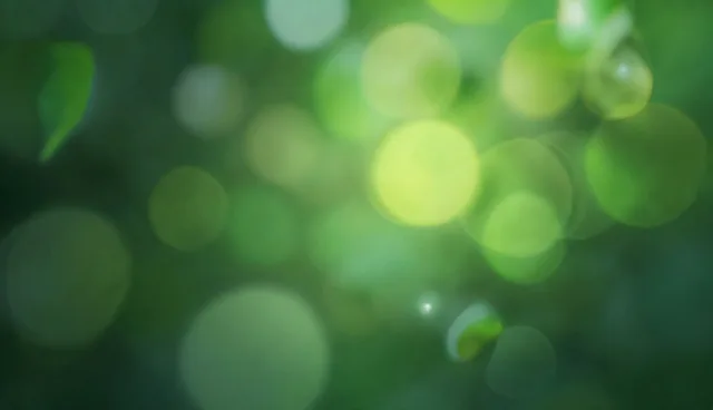 电商运营中检查要点的信息化方案对比